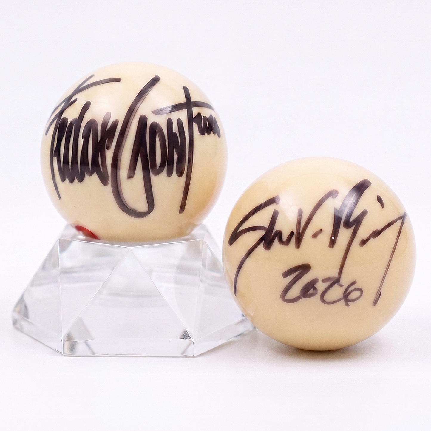 Fedor Gorst x Shane Van Boening Signed Cue Ball