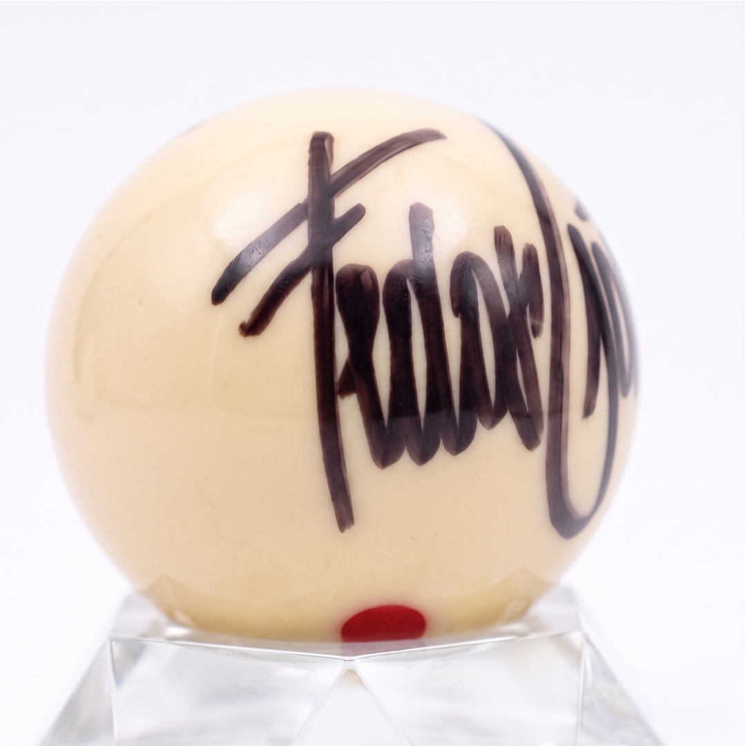 Fedor Gorst x Shane Van Boening Signed Cue Ball